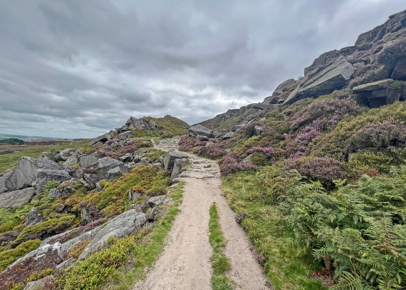 A stone path winding up through heather and rocks on Ilkley Moor